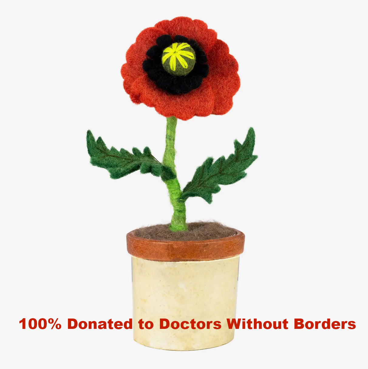 Poppy Potted Flower - Gifts That Give