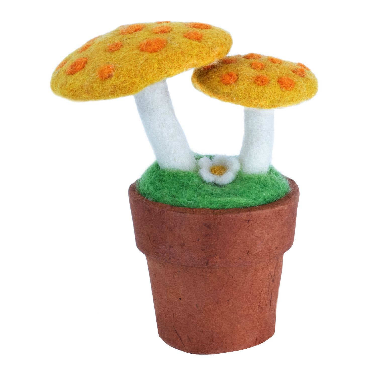 Mellow Mushrooms - Potted Wool Plant