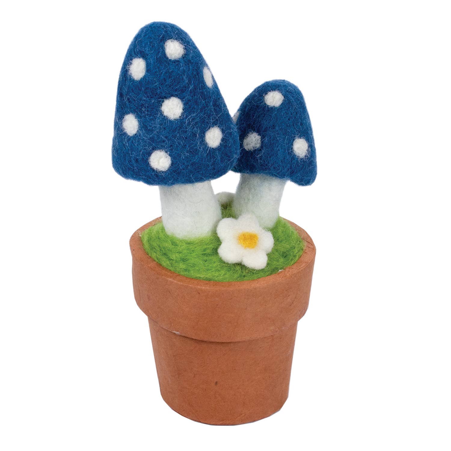 Magic Mushrooms - Potted Wool Plant