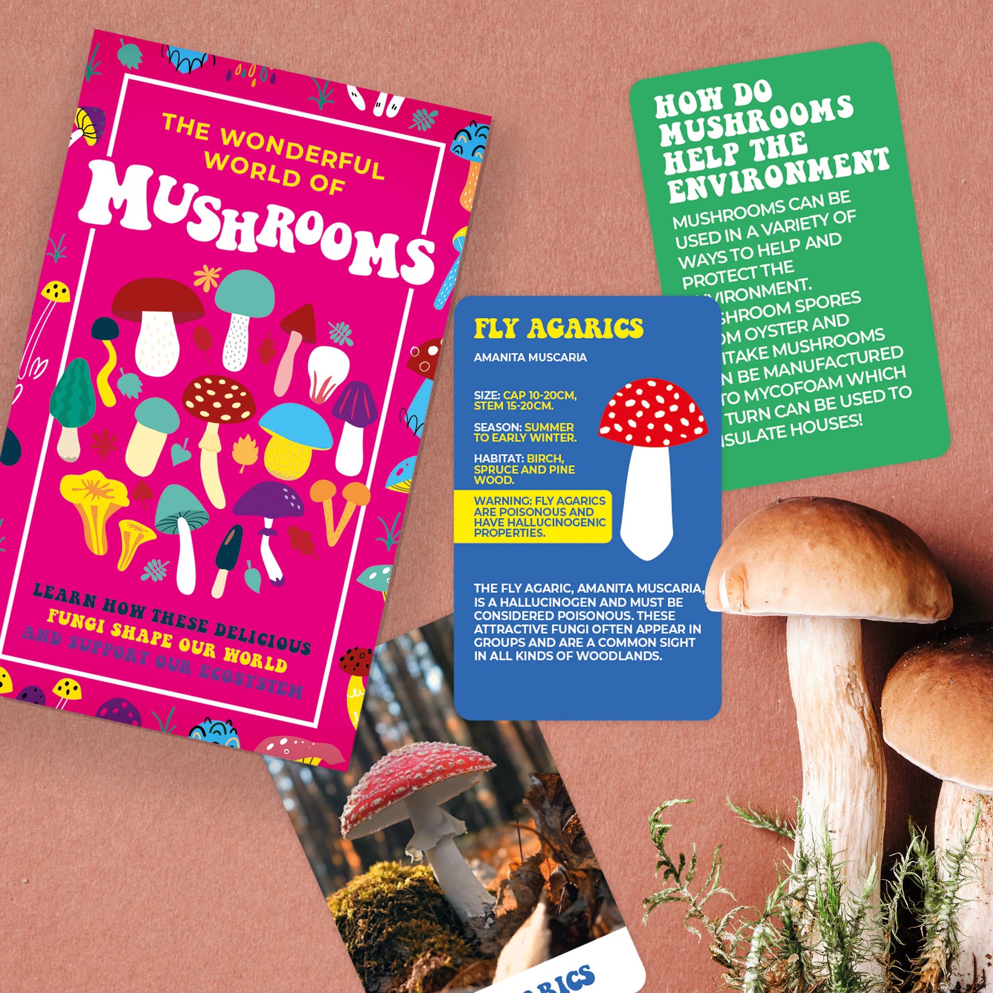 Card Pack - The Wonderful World of Mushrooms